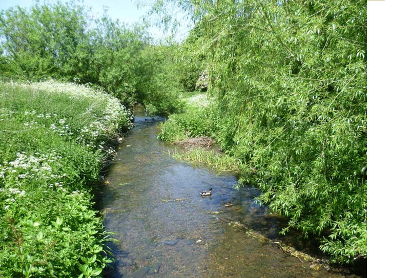 The Hogsmill River
