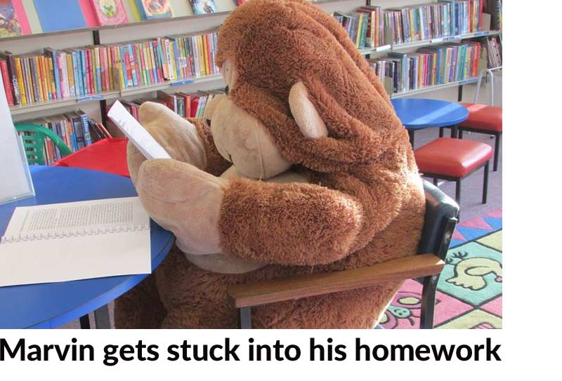Marvin the Monkey loves Stoneleigh Library