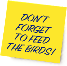 It is vital to feed birds in the winter and also through the spring nesting season - housebuilding and parenting is hard work!
